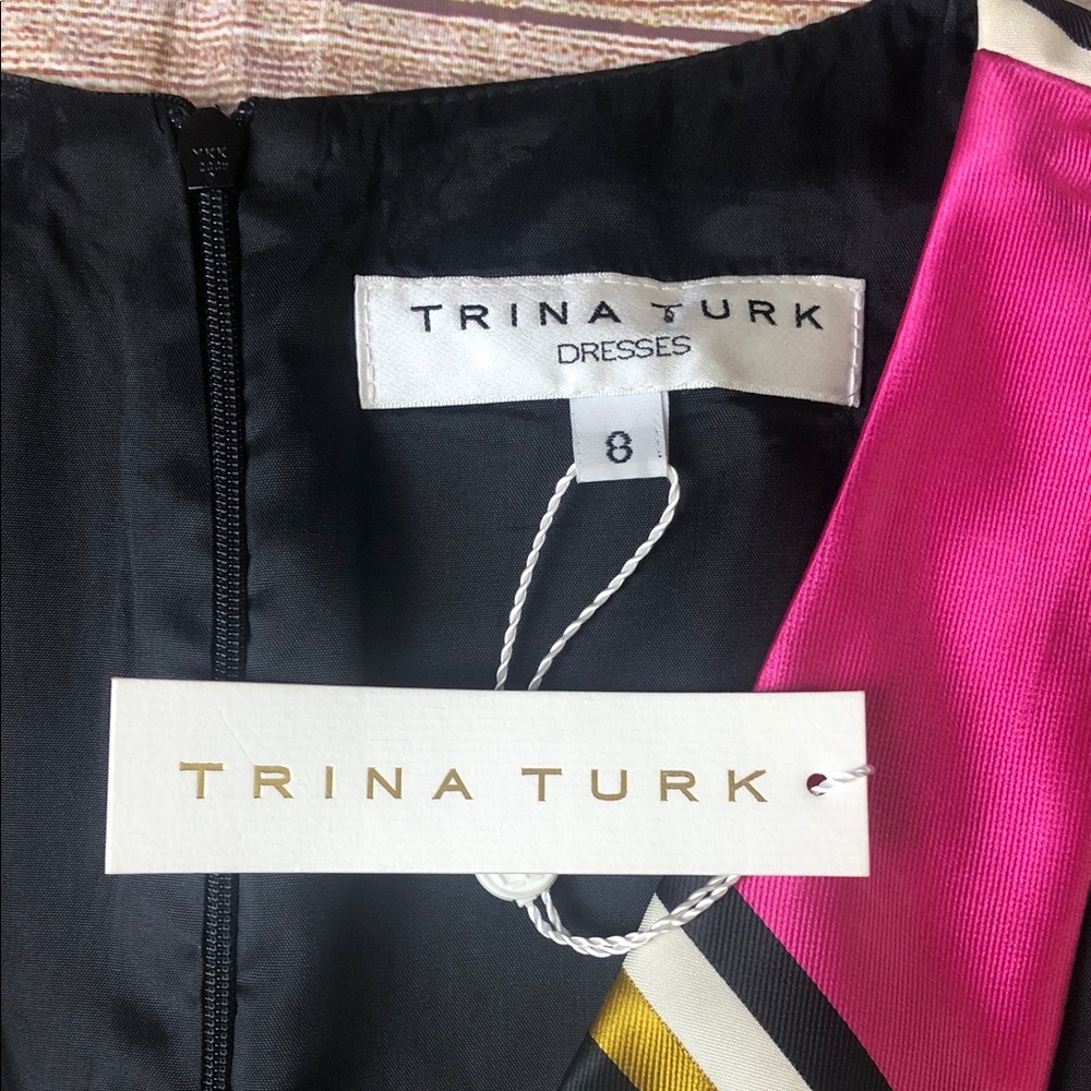 Trina Turk Black and Pink Striped Mini Dress - Picture 2 of 9